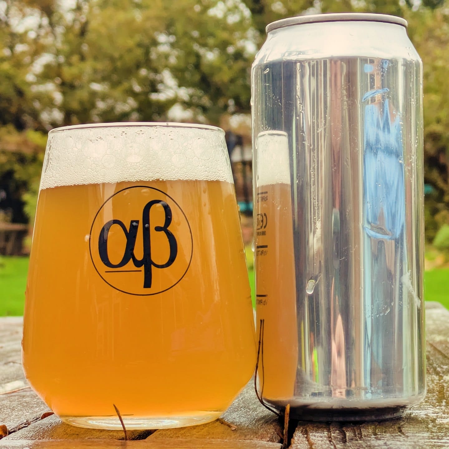 AlgeBrew glass (LOCAL DELIVERY ONLY)