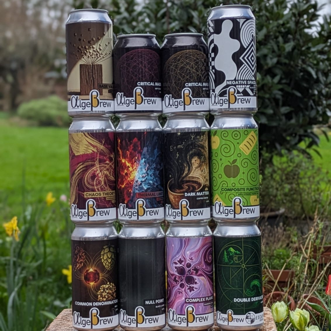 Discovery Box (Mixed 12 pack)