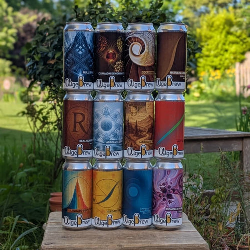 Best Selling Session Beers (Mixed 12 pack)