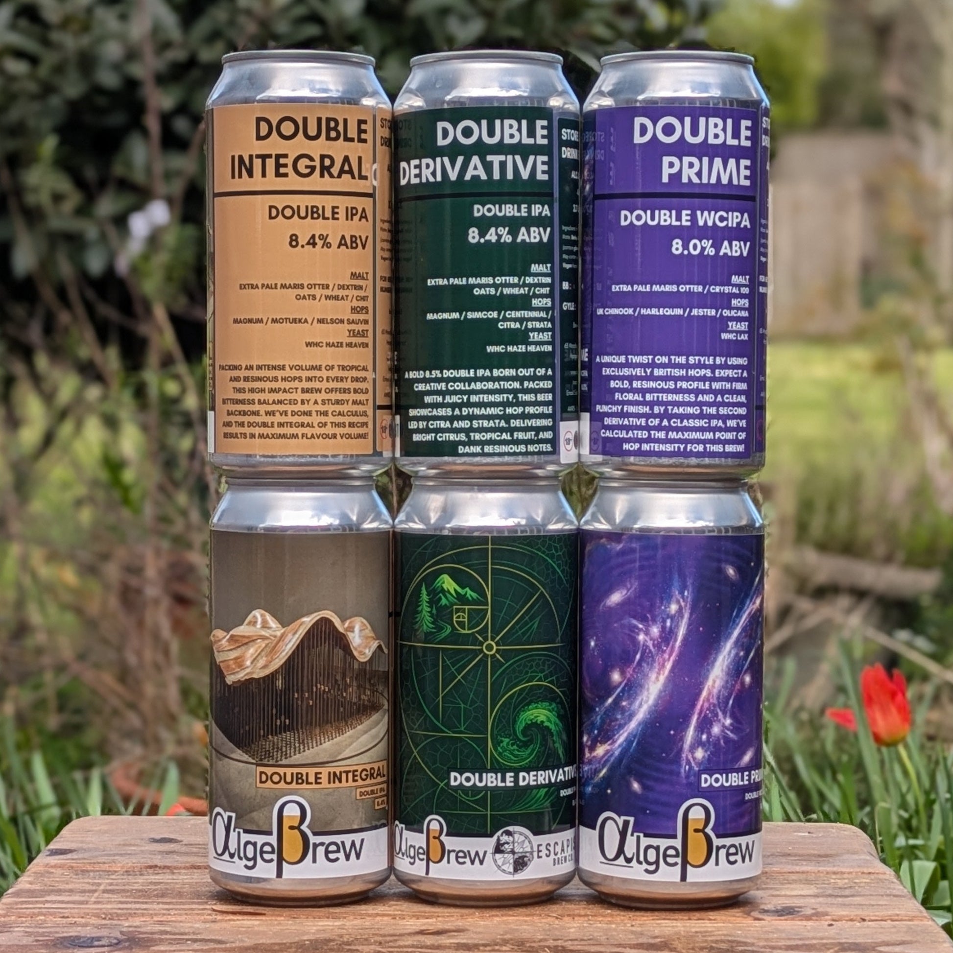 DIPA Selection (Mixed 6 pack)