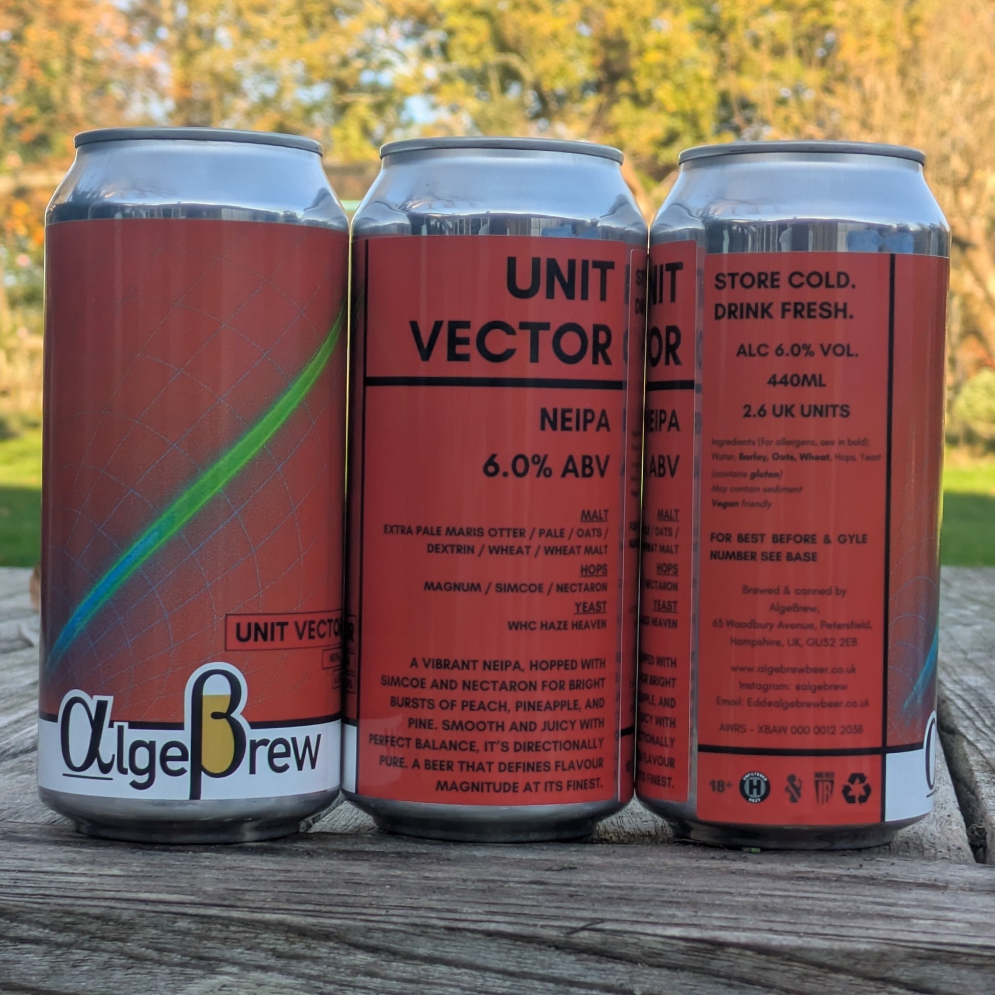 Unit Vector