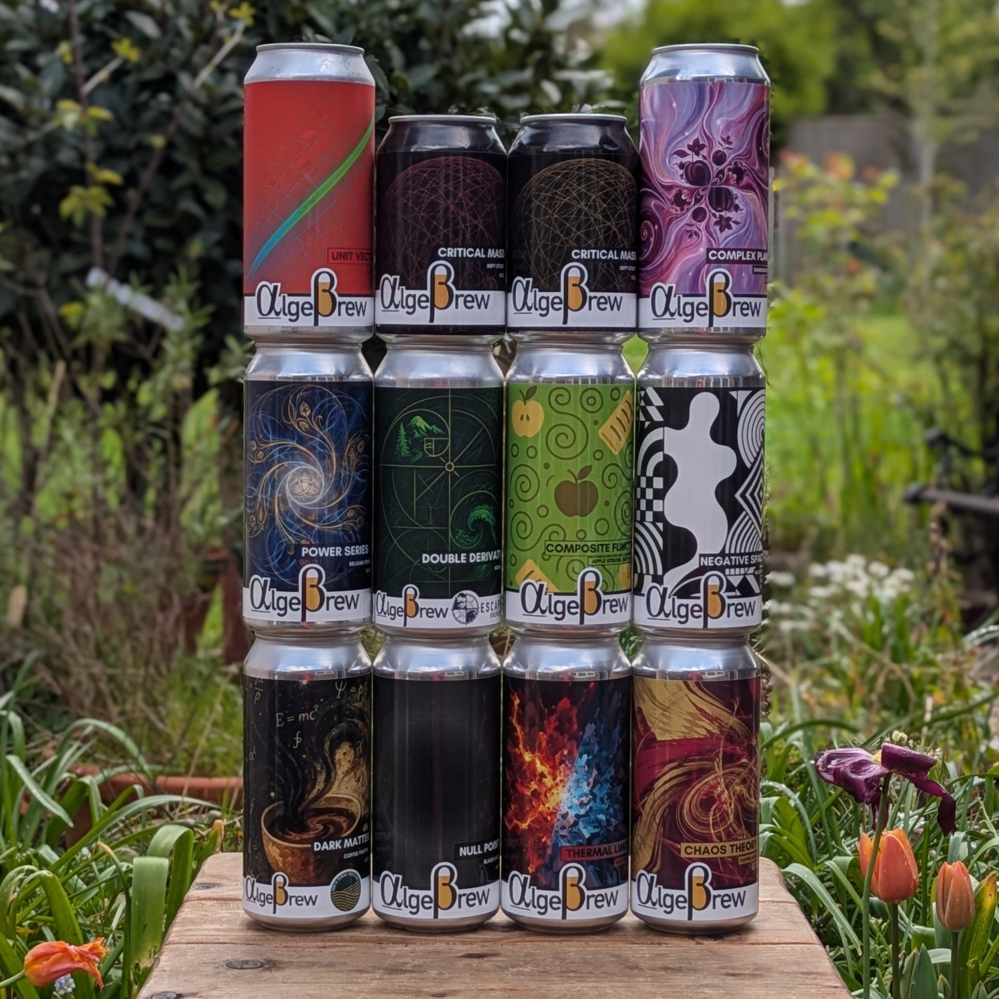 Discovery Box (Mixed 12 pack)
